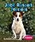 Jack Russell Terriers (Pebb...