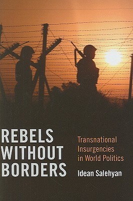 Rebels without Borders: Transnational Insurgencies in World Politics (Hardcover)