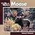 Moose (Our Wild World)