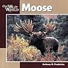 Moose (Our Wild World)