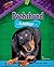 Dachshund: The Hot Dogger (Little Dogs Rock!)