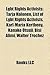 Lgbt Rights Activists: Bisexual Rights Activists, Lgbt Rights Activist Stubs, Stephen Donaldson, Tarja Halonen, List of Lgbt Rights Activists