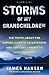 Storms of My Grandchildren by James  Hansen