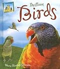 Brilliant Birds
