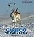 Caribou of the Arctic (Brrr! Polar Animals)