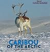Caribou of the Arctic (Brrr! Polar Animals) Caribou of the Arctic (Brrr! Polar Animals)