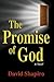 The Promise of God: A Novel