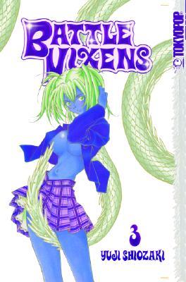 Battle Vixens Volume 3 (Ikkitousen, #3)