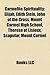 Carmelite Spirituality: Edith Stein, John of the Cross, Th R Se of Lisieux, Mount Carmel High School, Scapular, Elisha, Discalced Carmelites