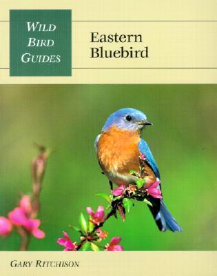 Eastern Bluebird (Wild Bird Guides)