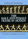 The Male and Female Figure in Motion by Eadweard Muybridge