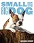 Small Dog, Big Dog