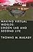 Making Virtual Worlds: Linden Lab and Second Life