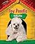 Toy Poodle: Oodles of Fun