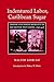 Indentured Labor, Caribbean Sugar: Chinese and Indian Migrants to the British West Indies, 1838-1918 (Johns Hopkins Studies in Atlantic History and Culture)