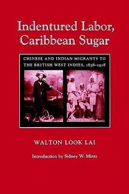 Indentured Labor, Caribbean Sugar: Chinese and Indian Migrants to the British West Indies, 1838-1918 (Johns Hopkins Studies in Atlantic History and Culture)