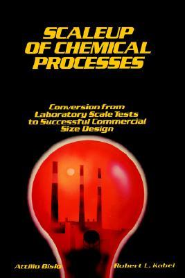 Scaleup of Chemical Processes: Conversion from Laboratory Scale Tests to Successful Commercial Size Design (Hardcover)
