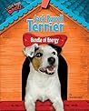 Jack Russell Terrier: Bundle of Energy (Little Dogs Rock!)