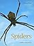 Spiders
