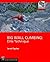 Big Wall Climbing: Elite Te...