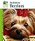 Yorkshire Terriers (Animal Planet Pet Care Library)