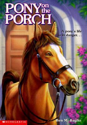 Pony on the Porch (Animal Ark, #2)