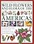 The Illustrated Encyclopedia of Wild Flowers and Flora of the Americas: An authoritative guide to more than 750 native wild flowers of the USA, ... watercolors, photographs and maps