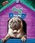 Pug: What a Mug! (Little Dogs Rock!)
