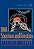 DNA Structure and Function