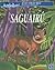 Saguairú