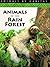 Animals of the Rain Forest (Animals by Habitat)
