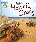 Hidden Hermit Crabs
