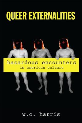 Queer Externalities: Hazardous Encounters in American Culture (SUNY series in Queer Politics and Cultures)