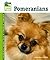 Pomeranians