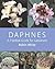Daphnes by Robin White