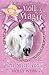 The Secret Pony (Magic Molly, #4)