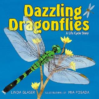Dazzling Dragonflies: A Life Cycle Story (Linda Glaser's Classic Creatures)