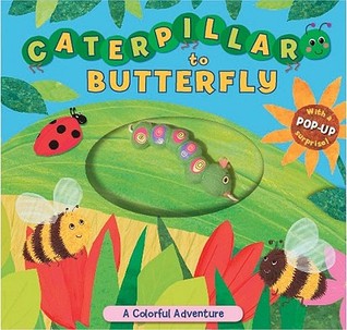 Caterpillar to Butterfly: A Colorful Adventure (Board book)