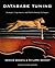 Database Tuning: Principles, Experiments, and Troubleshooting Techniques (The Morgan Kaufmann Series in Data Management Systems)