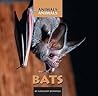 Bats (Animals Animals)