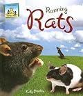 Running Rats