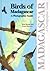 Birds of Madagascar: A Photographic Guide