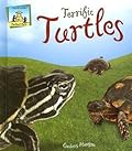 Terrific Turtles
