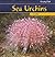 Sea Urchins (Freaky Fish)