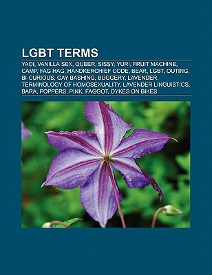 Lgbt Terms (Paperback)