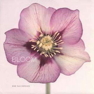 Bloom (Hardcover)