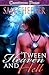 'Tween Heaven and Hell (Bedeviled & Beyond #1)