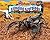 Stinging Scorpions (No Backbone! The World of Invertebrates)