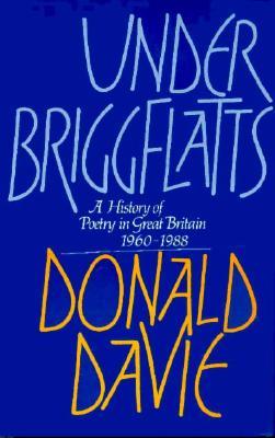 Under Briggflatts: A History of Poetry in Great Britain, 1960-1988 (Hardcover)