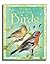 Usborne Little Book of Birds